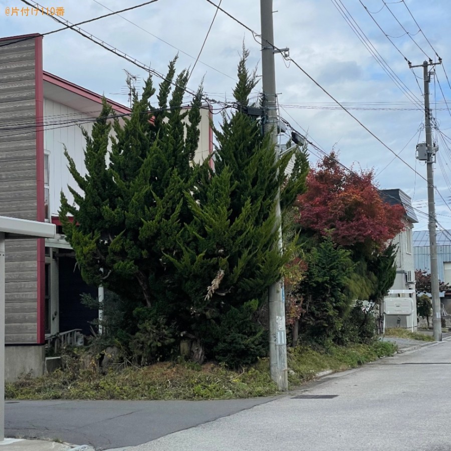 木の伐採と剪定作業ご依頼　お客様の声