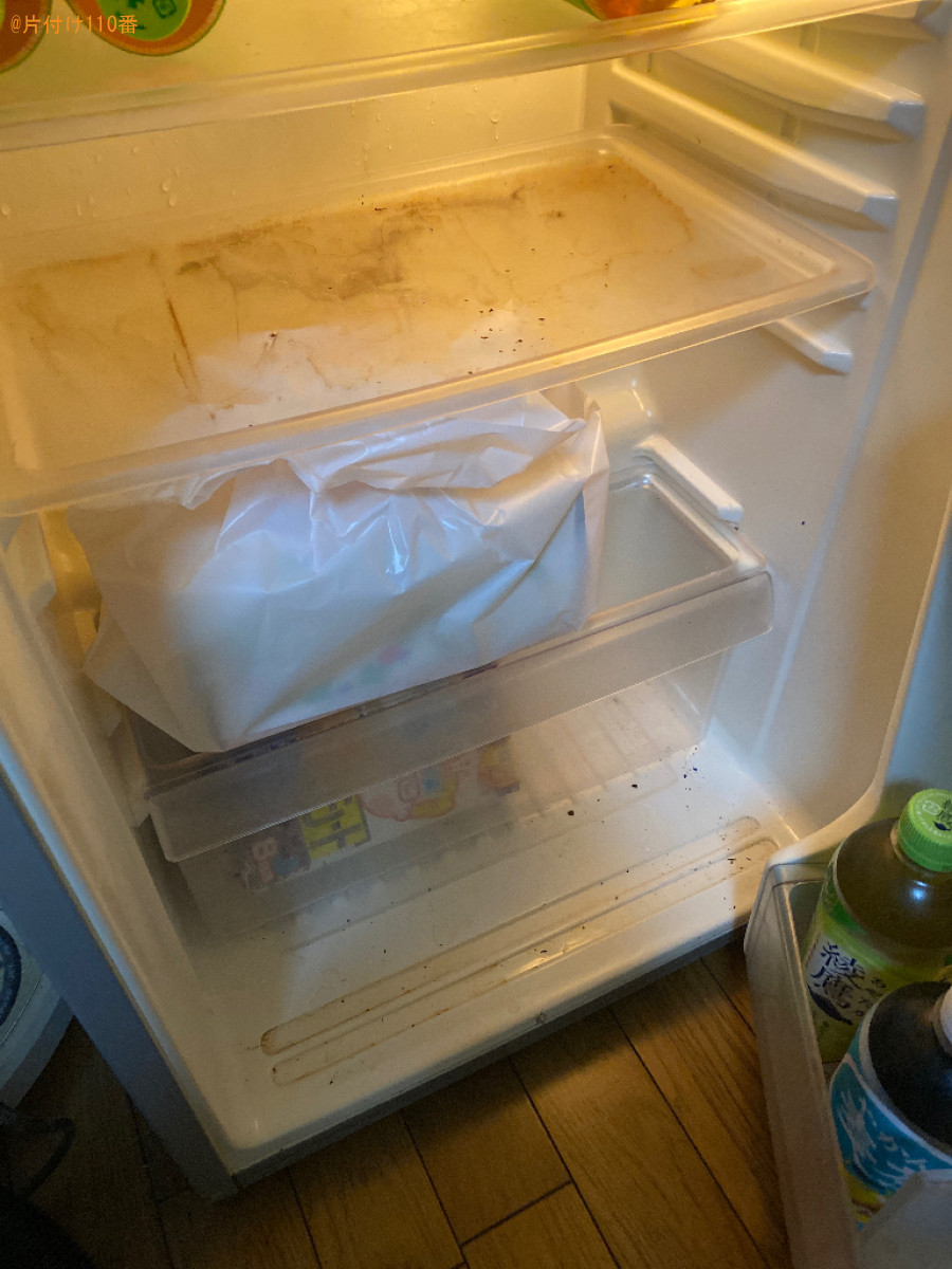 【別府市亀川浜田町】害虫駆除ご依頼　お客様の声