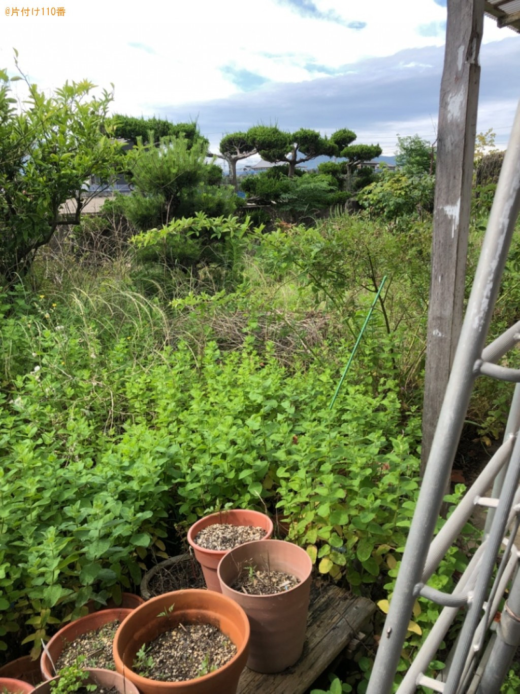 草刈り作業ご依頼　お客様の声